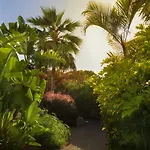 Alua Fuerteventura קורלחו
