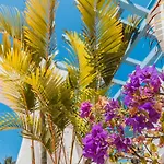 מלון Alua Fuerteventura 4*