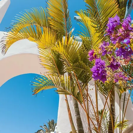 Alua Fuerteventura 酒店 4*