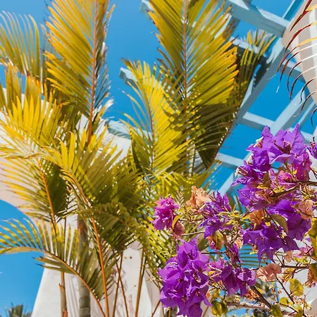 Hotel Alua Fuerteventura 4*