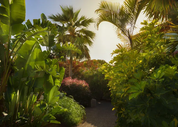 Alua Fuerteventura קורלחו