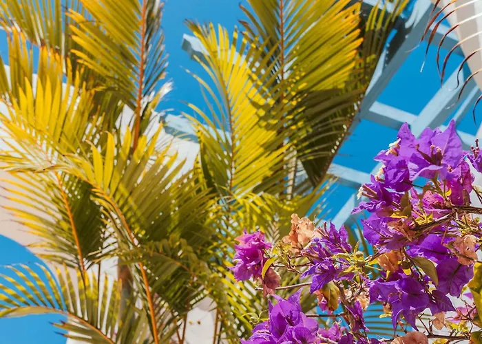 מלון Alua Fuerteventura 4*